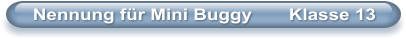 Nennung f�r Mini Buggy       Klasse 13