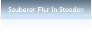 Sauberer Flur in Steeden